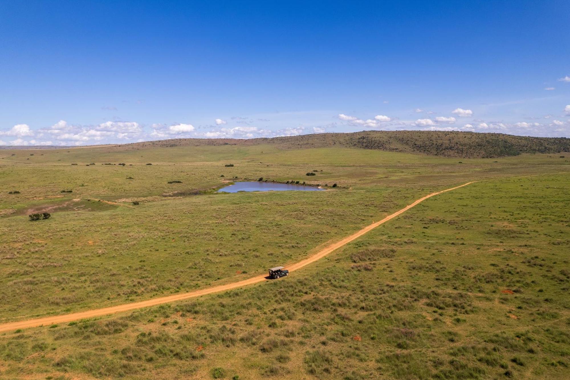 Sediba Luxury Safari Lodge Welgevonden Game Reserve Εξωτερικό φωτογραφία