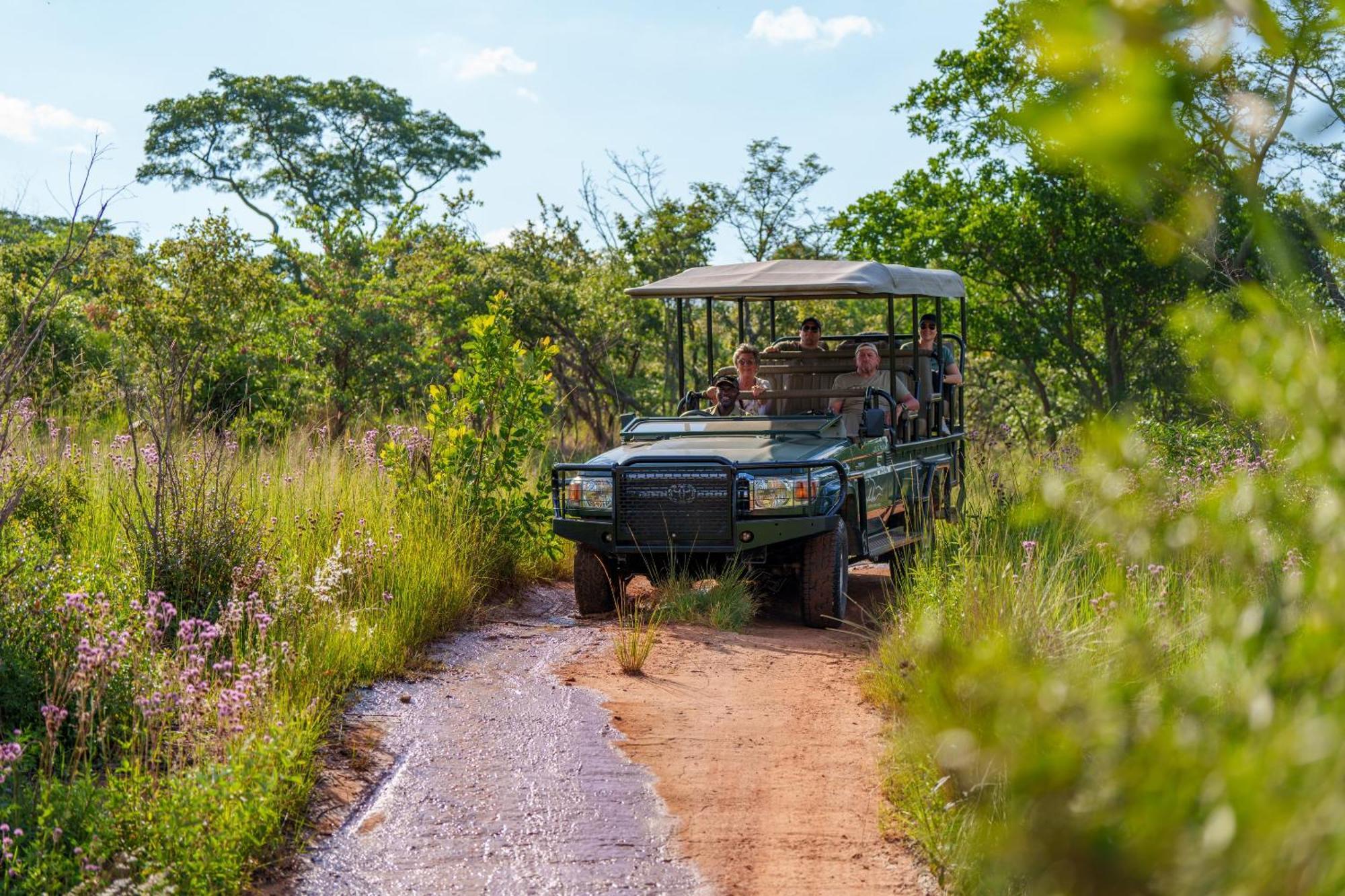 Sediba Luxury Safari Lodge Welgevonden Game Reserve Εξωτερικό φωτογραφία